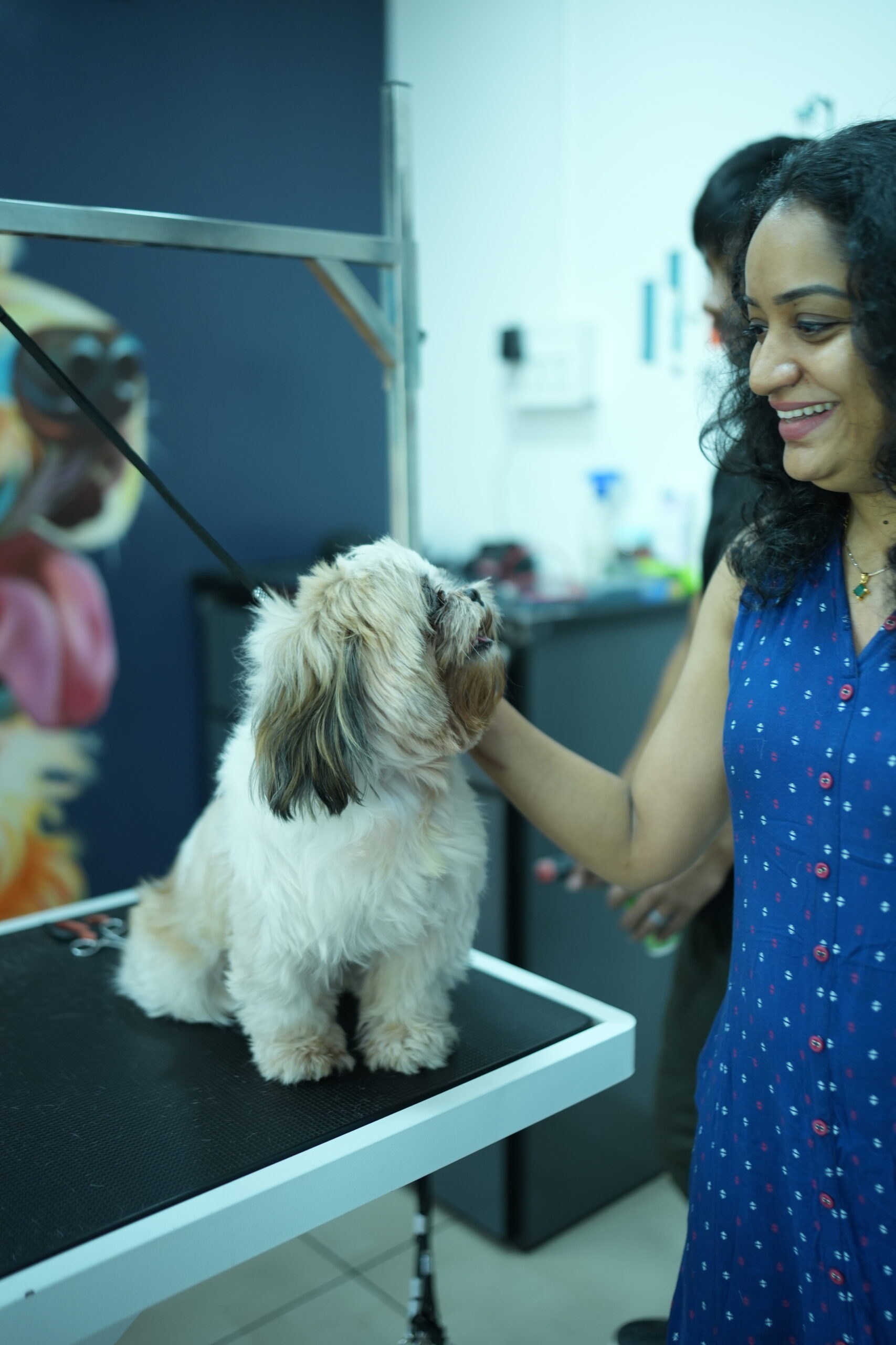 Home best pet store in adoor