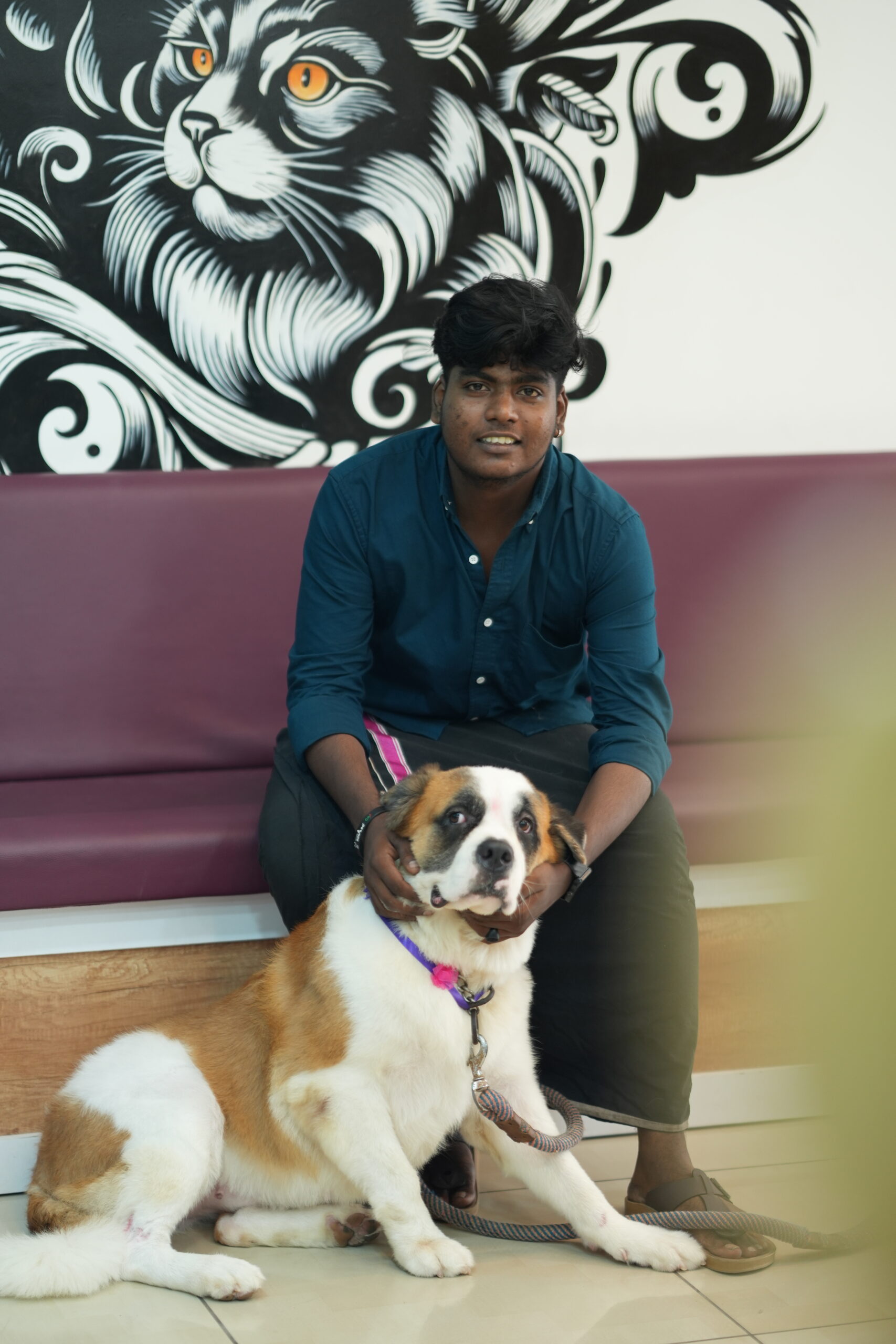 Home dog grooming in adoor