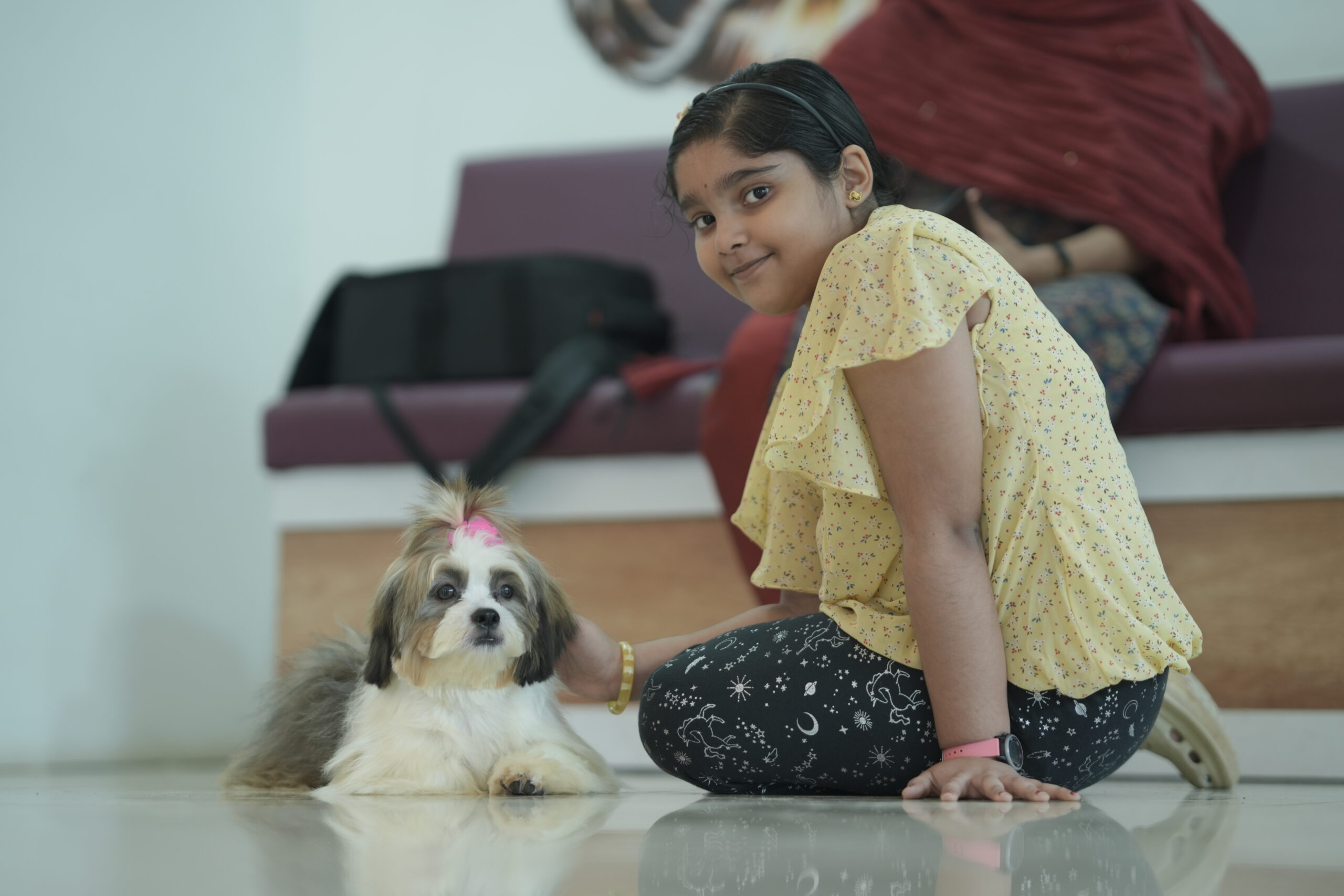 Home pet shop in adoor
