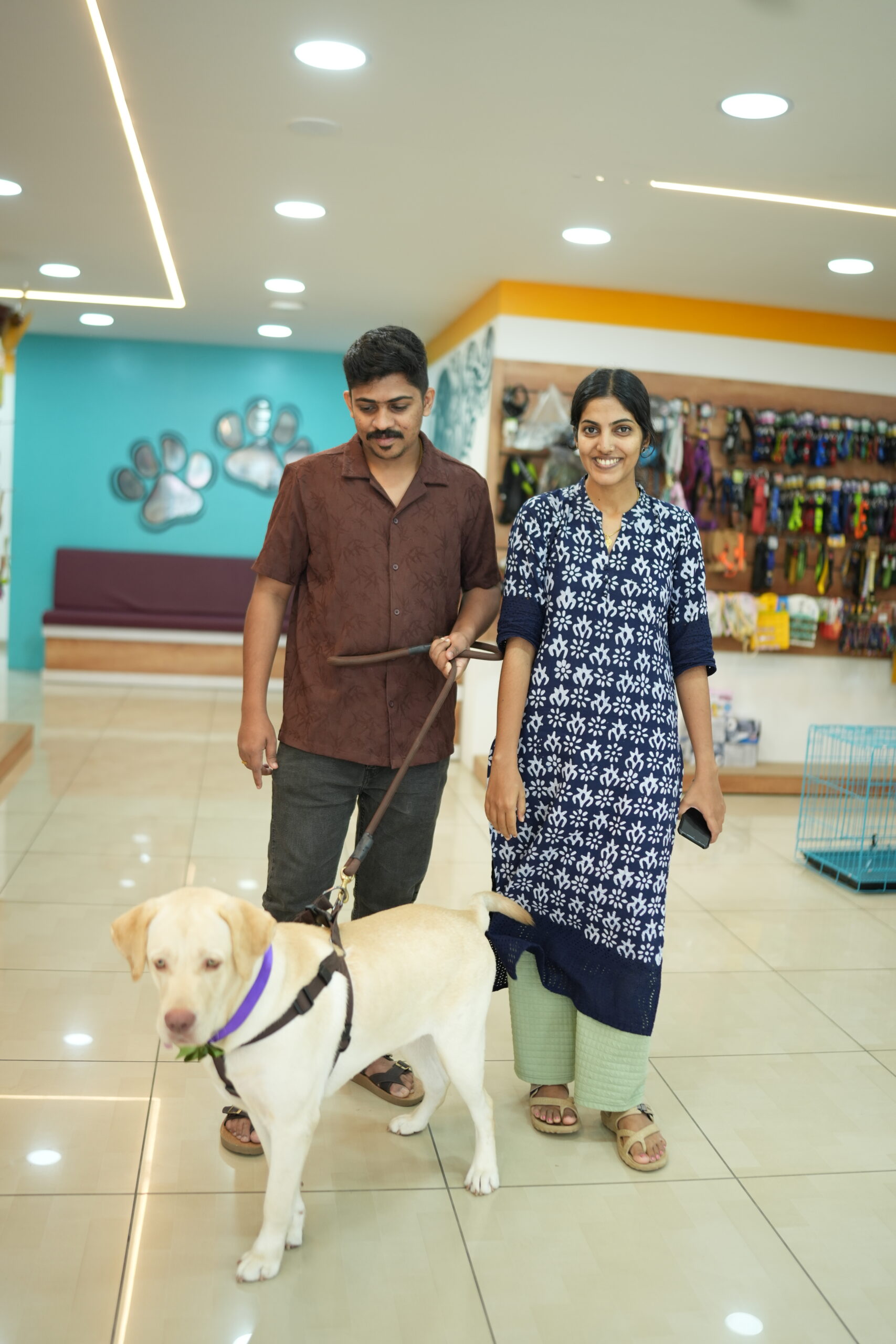 Home premium pet food in adoor